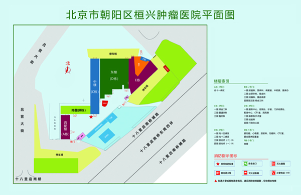 男人搞插入式女人黄色网站北京市朝阳区桓兴肿瘤医院平面图